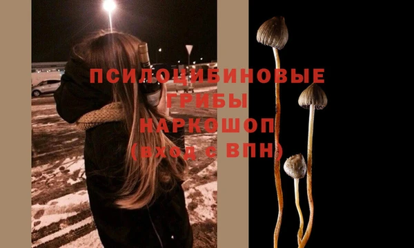 гашишное масло Орехово-Зуево