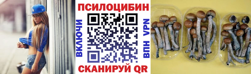 МЕГА ссылка  Ивдель  Псилоцибиновые грибы ЛСД  наркотики 